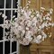 6-Pack Light Pink Cherry Blossom Stems - Realistic Silk Flowers for Floral Arrangements, Bouquets & Home Decor by Floral Home®